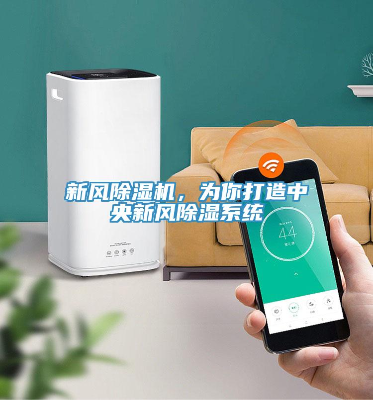 新風(fēng)除濕機(jī)，為你打造中央新風(fēng)除濕系統(tǒng)