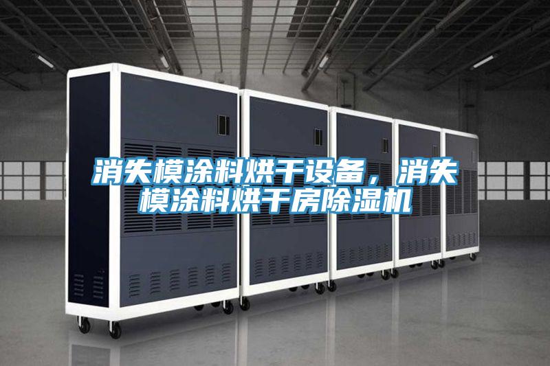 消失模涂料烘干設(shè)備，消失模涂料烘干房除濕機