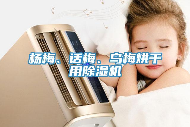 楊梅、話梅、烏梅烘干用除濕機