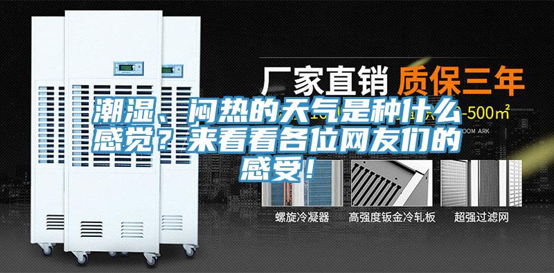 潮濕、悶熱的天氣是種什么感覺？來看看各位網(wǎng)友們的感受！