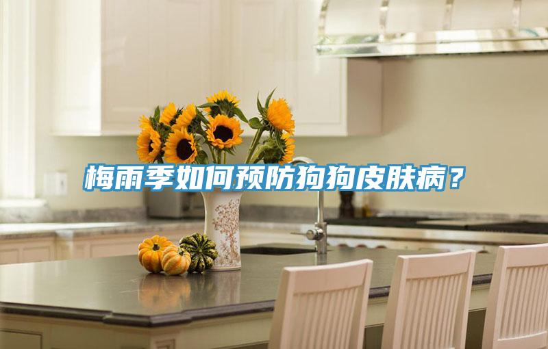 梅雨季如何預(yù)防狗狗皮膚?。?></div>
								<div   id=