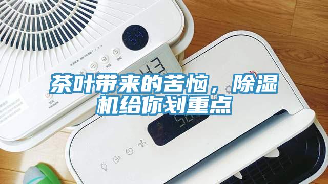 茶葉帶來的苦惱，除濕機給你劃重點