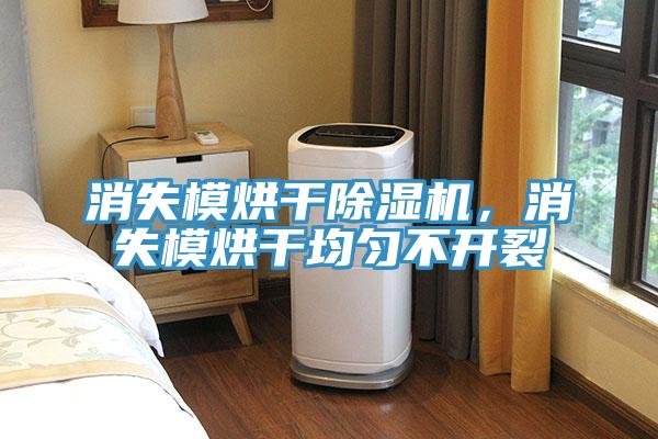 消失模烘干除濕機，消失模烘干均勻不開裂