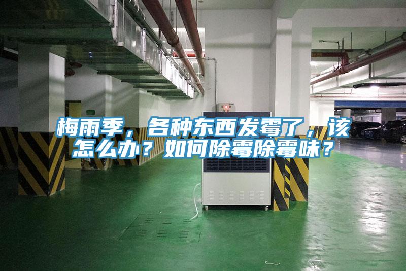 梅雨季，各種東西發(fā)霉了，該怎么辦？如何除霉除霉味？
