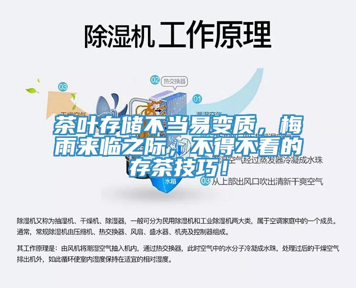 茶葉存儲不當易變質(zhì)，梅雨來臨之際，不得不看的存茶技巧！