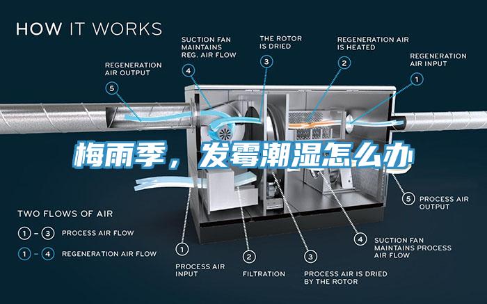 梅雨季，發(fā)霉潮濕怎么辦