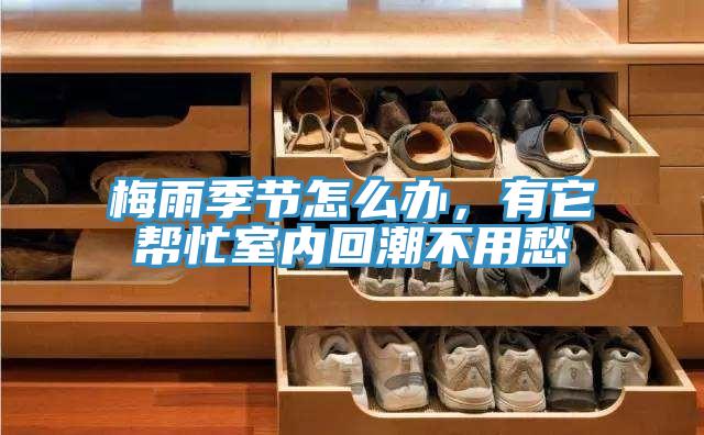 梅雨季節(jié)怎么辦，有它幫忙室內(nèi)回潮不用愁