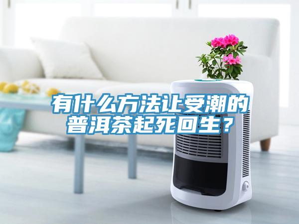 有什么方法讓受潮的普洱茶起死回生？