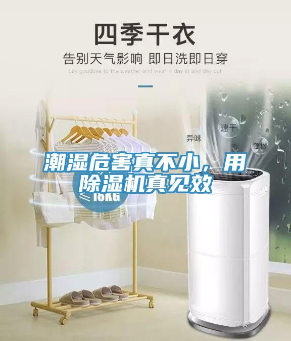 潮濕危害真不小，用除濕機真見效
