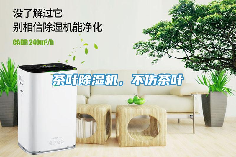 茶葉除濕機(jī)，不傷茶葉