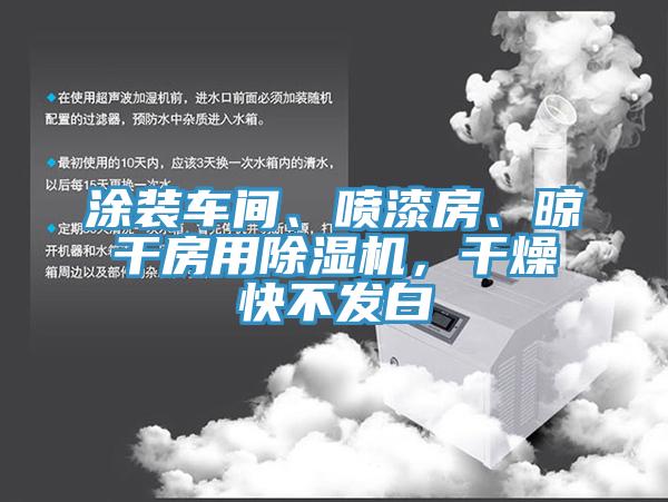 涂裝車間、噴漆房、晾干房用除濕機，干燥快不發(fā)白