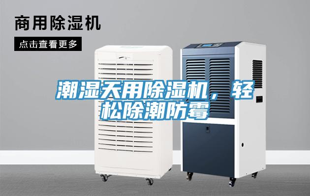 潮濕天用除濕機(jī)，輕松除潮防霉