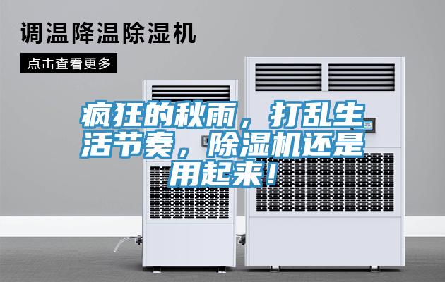 瘋狂的秋雨，打亂生活節(jié)奏，除濕機還是用起來！