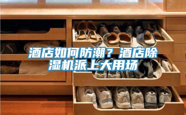 酒店如何防潮？酒店除濕機派上大用場