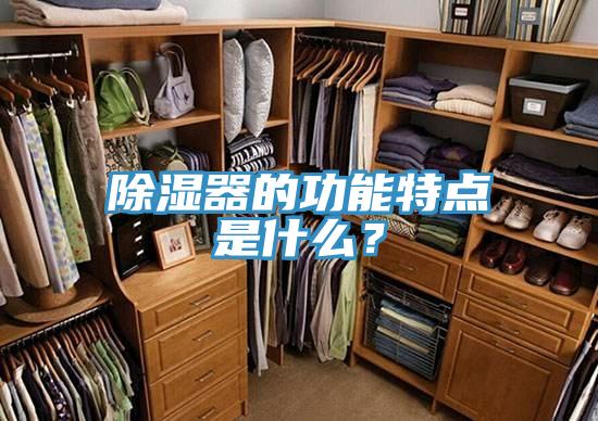 除濕器的功能特點(diǎn)是什么？