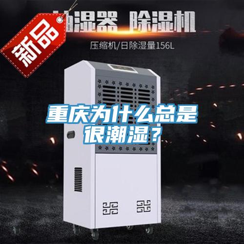 重慶為什么總是很潮濕？
