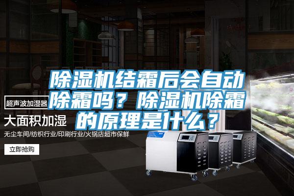 除濕機(jī)結(jié)霜后會(huì)自動(dòng)除霜嗎？除濕機(jī)除霜的原理是什么？