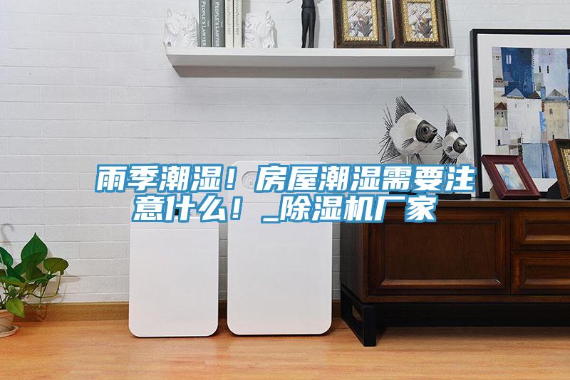 雨季潮濕！房屋潮濕需要注意什么！_除濕機廠家