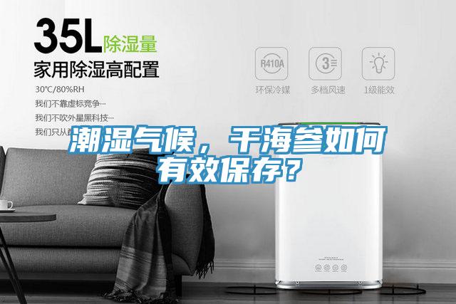 潮濕氣候，干海參如何有效保存？