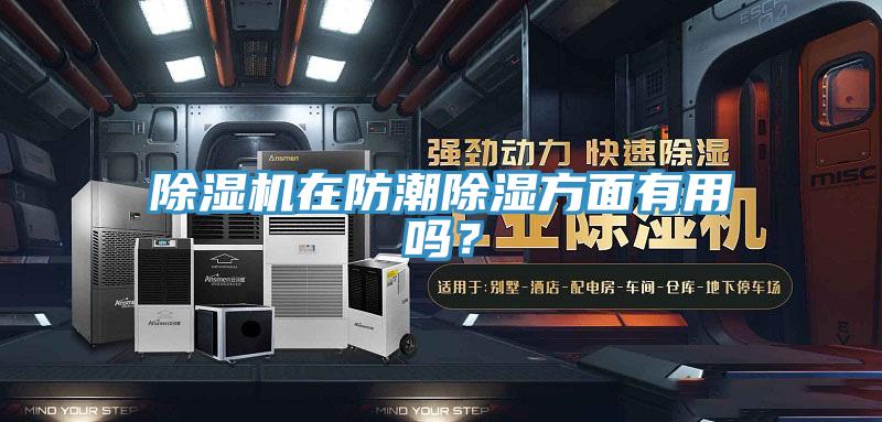 除濕機(jī)在防潮除濕方面有用嗎？