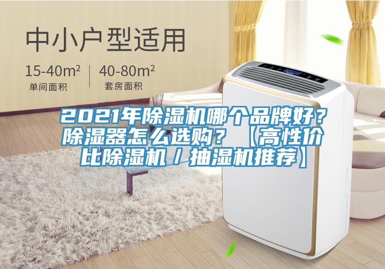 2021年除濕機(jī)哪個(gè)品牌好？除濕器怎么選購(gòu)？【高性價(jià)比除濕機(jī)／抽濕機(jī)推薦】