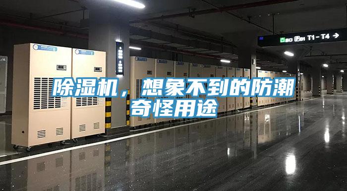 除濕機(jī)，想象不到的防潮奇怪用途