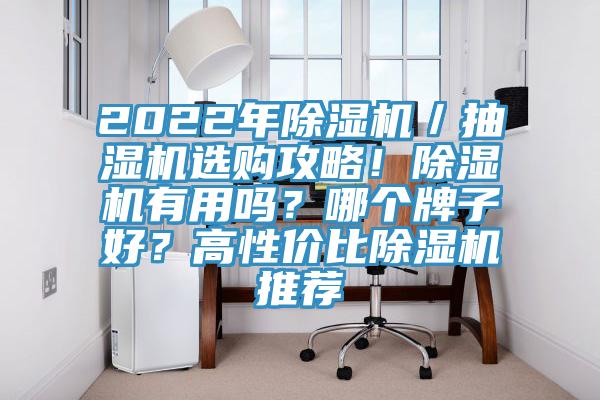 2022年除濕機(jī)／抽濕機(jī)選購攻略！除濕機(jī)有用嗎？哪個牌子好？高性價比除濕機(jī)推薦