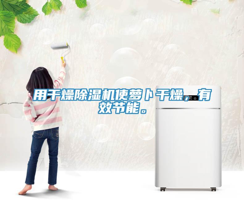用干燥除濕機(jī)使蘿卜干燥，有效節(jié)能。