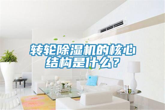 轉(zhuǎn)輪除濕機的核心結(jié)構(gòu)是什么？