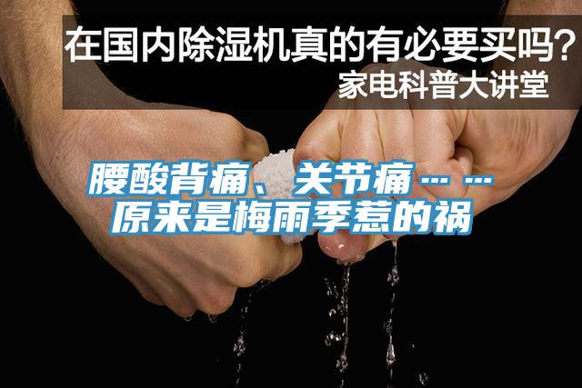 腰酸背痛、關(guān)節(jié)痛……原來是梅雨季惹的禍