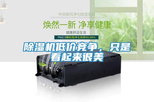 除濕機低價競爭，只是看起來很美