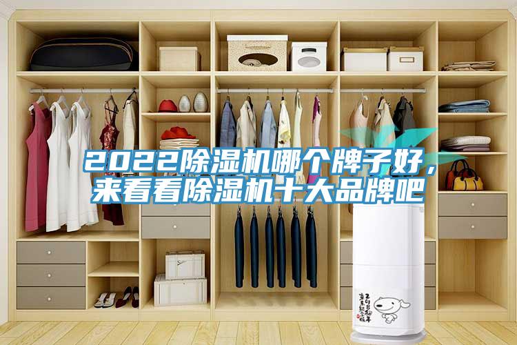 2022除濕機(jī)哪個牌子好，來看看除濕機(jī)十大品牌吧