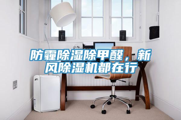 防霾除濕除甲醛，新風(fēng)除濕機都在行