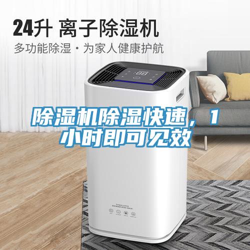 除濕機(jī)除濕快速，1小時即可見效