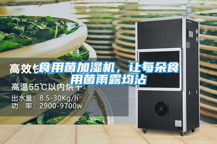 食用菌加濕機(jī)，讓每朵食用菌雨露均沾