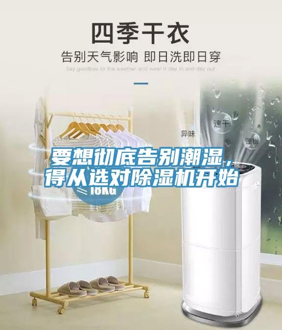要想徹底告別潮濕，得從選對除濕機開始