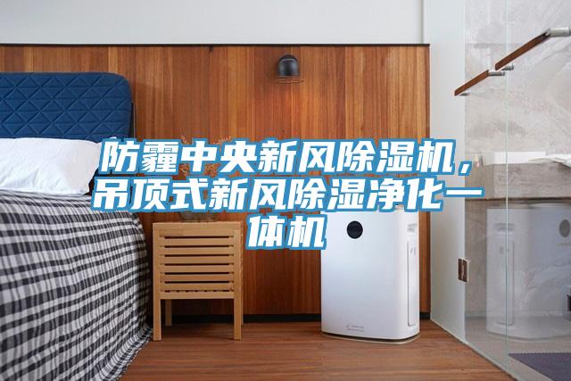 防霾中央新風除濕機，吊頂式新風除濕凈化一體機