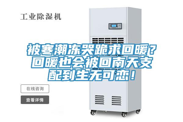被寒潮凍哭跪求回暖？回暖也會被回南天支配到生無可戀！