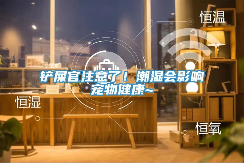 鏟屎官注意了！潮濕會影響寵物健康~