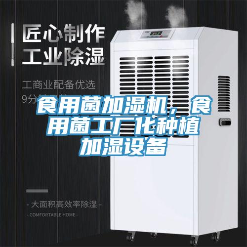 食用菌加濕機，食用菌工廠化種植加濕設(shè)備