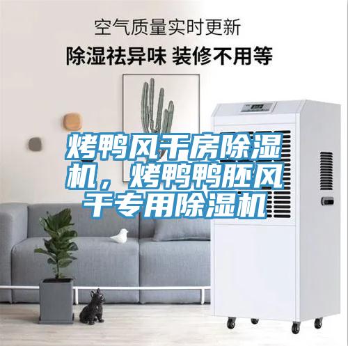 烤鴨風(fēng)干房除濕機(jī)，烤鴨鴨胚風(fēng)干專用除濕機(jī)