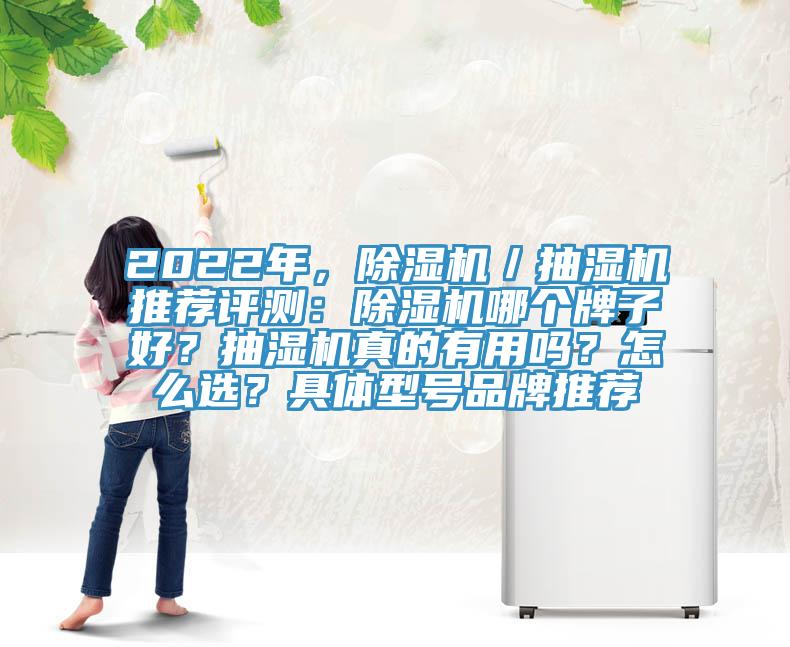 2022年，除濕機(jī)／抽濕機(jī)推薦評測：除濕機(jī)哪個牌子好？抽濕機(jī)真的有用嗎？怎么選？具體型號品牌推薦
