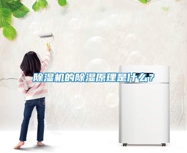 除濕機(jī)的除濕原理是什么？