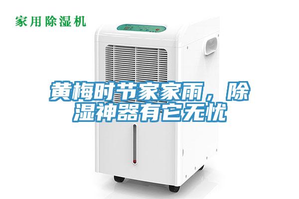 黃梅時節(jié)家家雨，除濕神器有它無憂