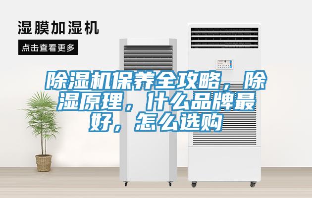 除濕機保養(yǎng)全攻略，除濕原理，什么品牌最好，怎么選購