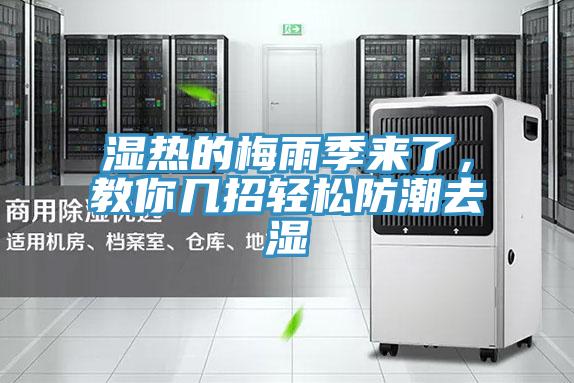 濕熱的梅雨季來了，教你幾招輕松防潮去濕