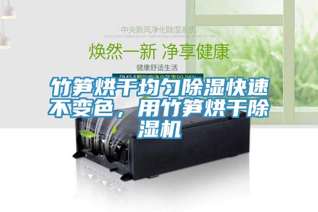 竹筍烘干均勻除濕快速不變色，用竹筍烘干除濕機