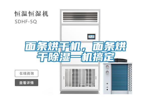 面條烘干機(jī)，面條烘干除濕一機(jī)搞定
