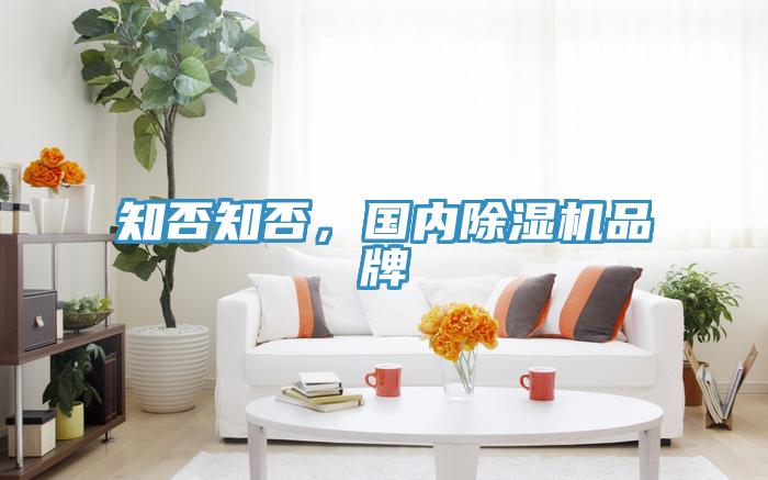 知否知否，國內(nèi)除濕機(jī)品牌
