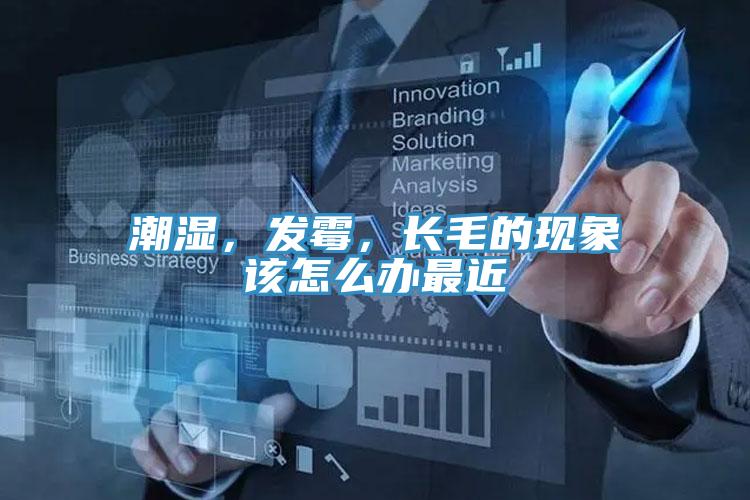 潮濕，發(fā)霉，長毛的現(xiàn)象該怎么辦最近